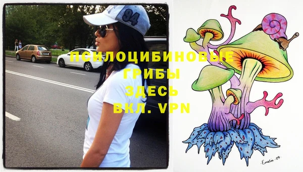 PSILOCYBIN Навашино