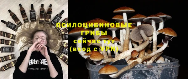 бутират Надым