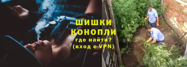 PSILOCYBIN Навашино