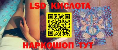 мдпв Кингисепп