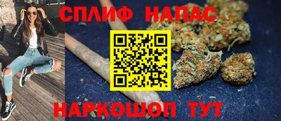 мдпв Кингисепп