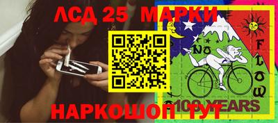 мдпв Кингисепп
