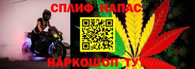 мдпв Кингисепп