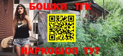 мдпв Кингисепп