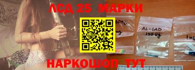 мдпв Кингисепп