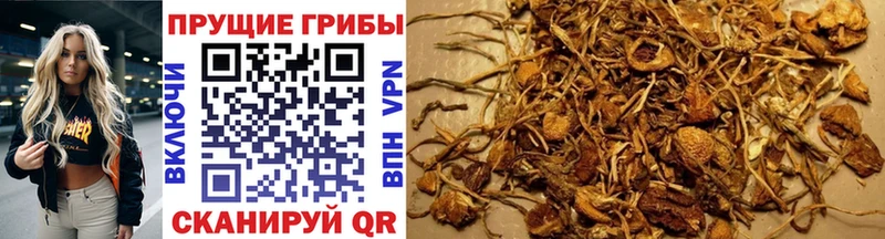 Галлюциногенные грибы мицелий Нижневартовск