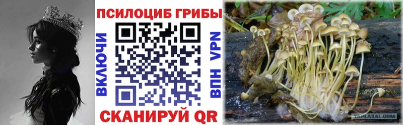 Псилоцибиновые грибы мицелий  Нижневартовск 