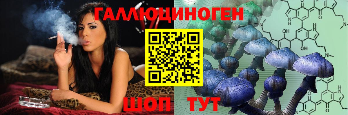 Нижневартовск  даркнет сайт  Вход с VPN  Галлюциногенные грибы Psilocybe 